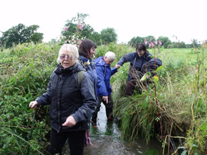 Boundary Walk 2009